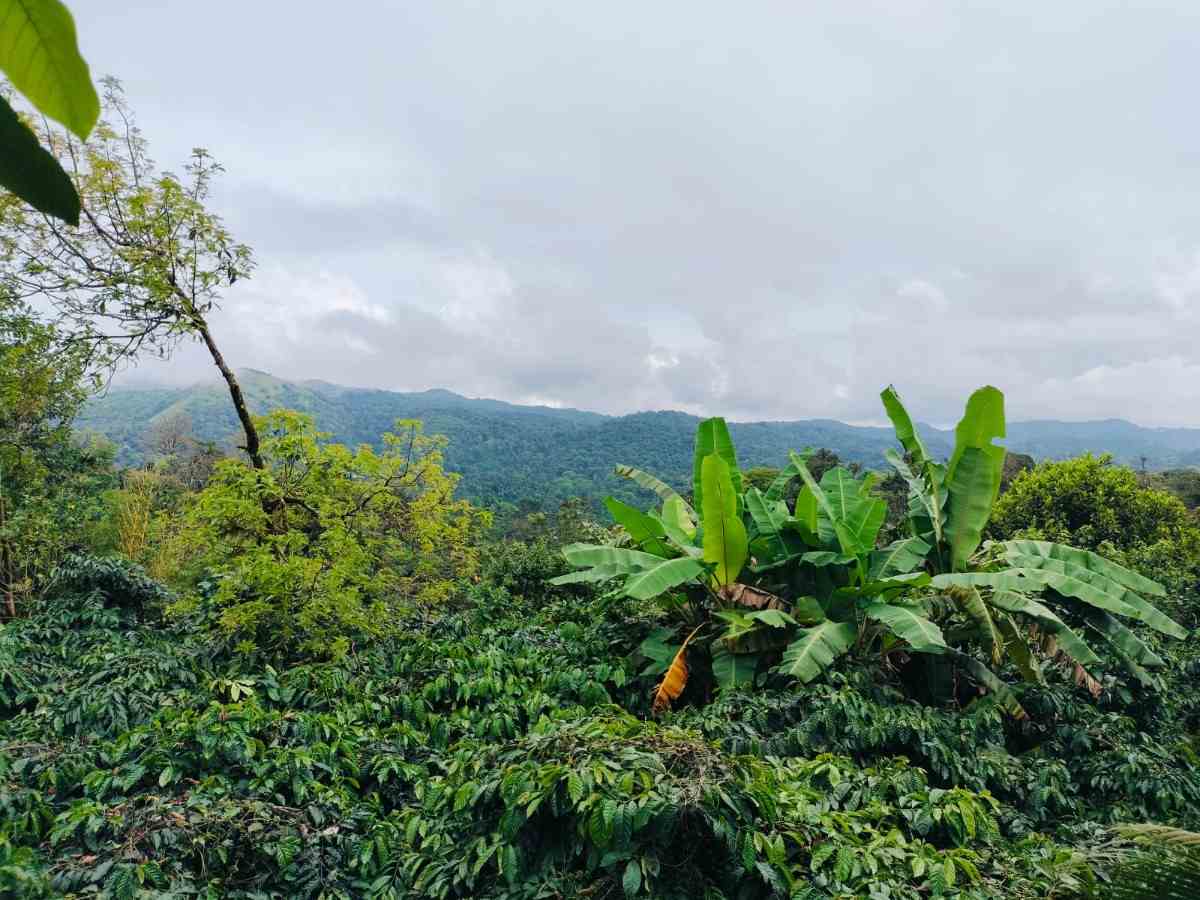 Natural surroundings view 6